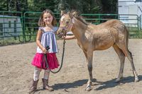 Large pony filly with child