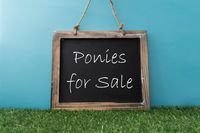 ponies for sale sign