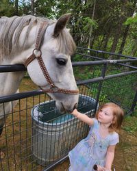 Grey pony gelding with little girl